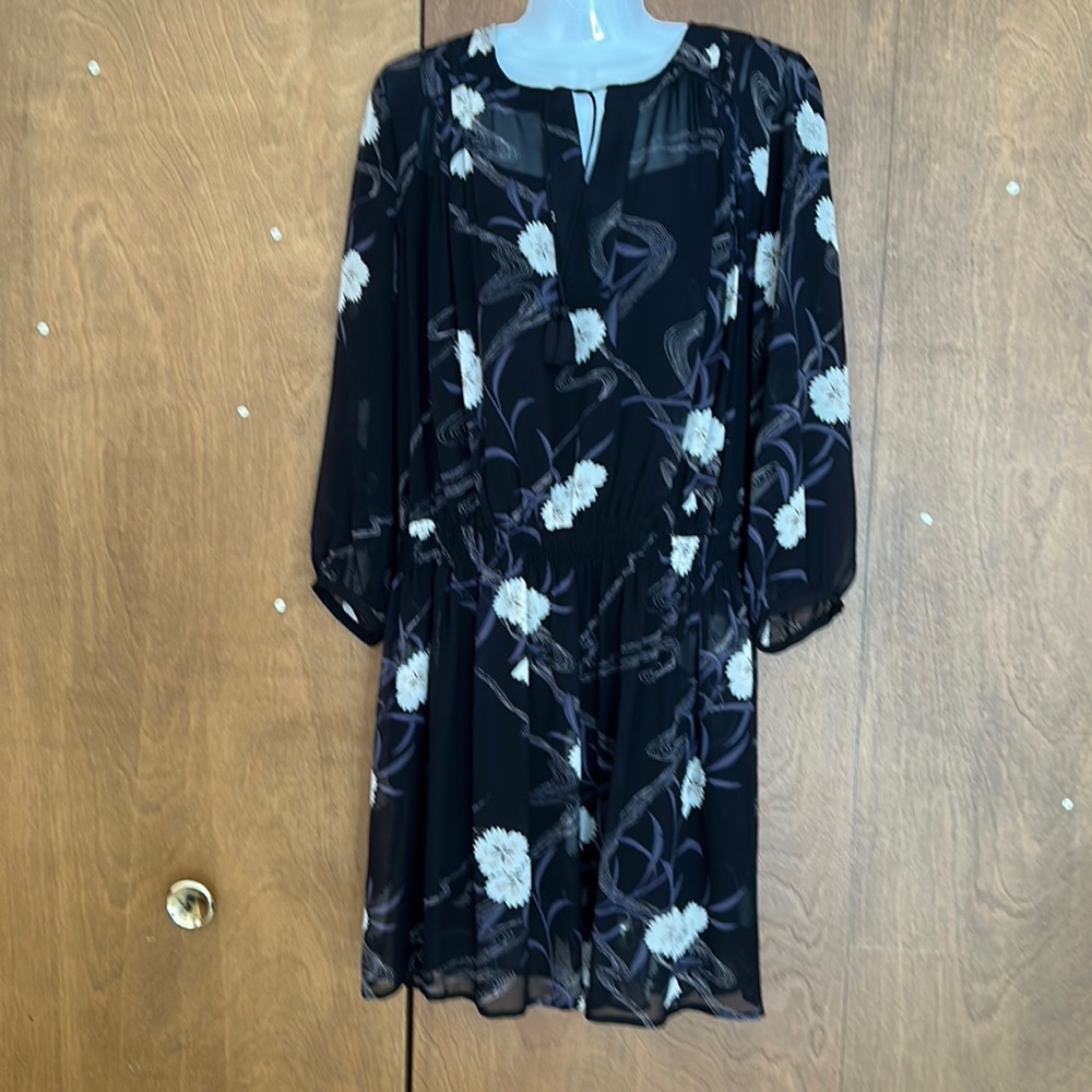 Club Monaco long sleeve silk dress with slip